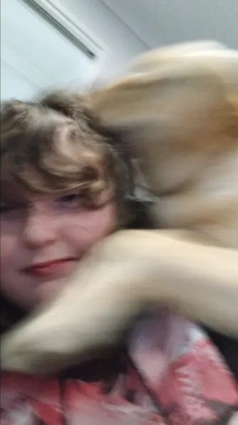 S Paws Sharni Offer S Paws Sharni Offer